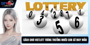 Cách chơi Vietlott